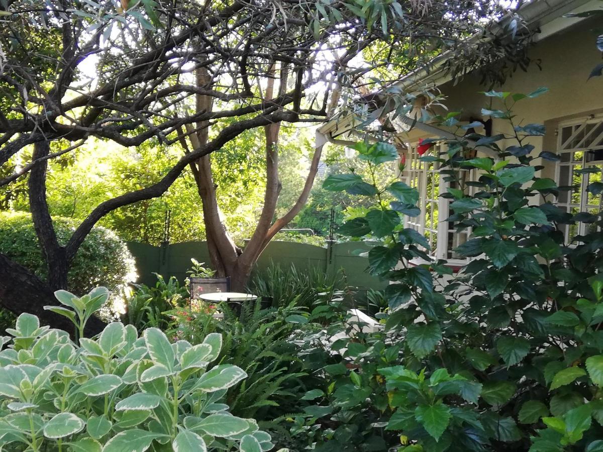 Tiree B&B 约翰内斯堡 外观 照片
